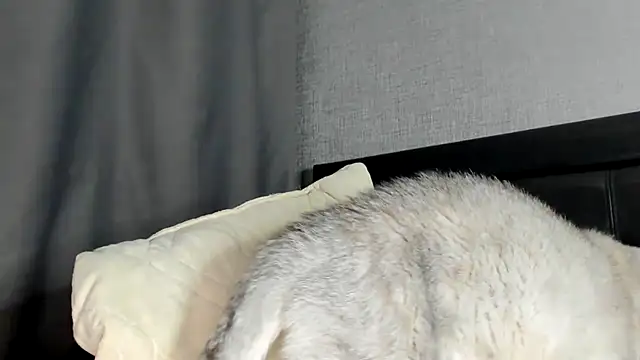 StarryHanna - Make pusssy cum ⚡99⚡ 333⚡666⚡888⚡1111