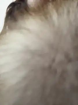 AleksandraRich - Ride a dildo🔥