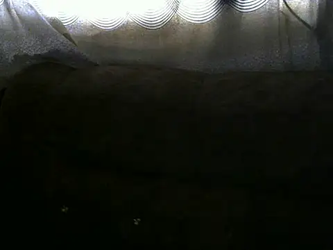 Ebonybb - Dildo in pussy until I cum