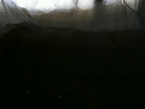 Ebonybb - Dildo in pussy until I cum