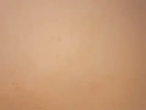 Sinful_shadow - FUCK MY ASS