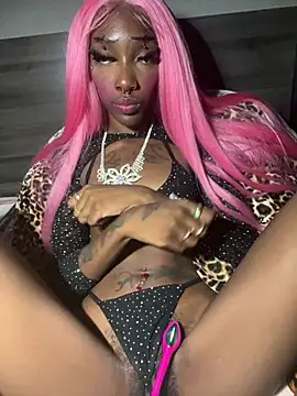 Loopsies - Everuthing
