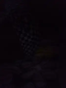 Tempting_thodalu - Sucking cock