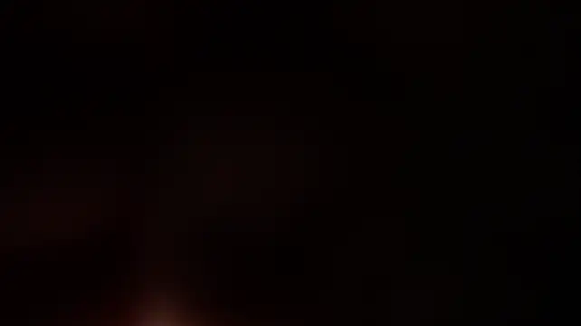 HappyLisa - flash breast