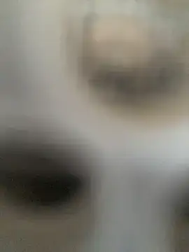 Lolitaloira2