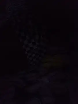 Tempting_thodalu - Sucking cock
