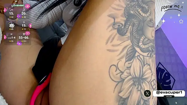 Eva_cuper - plug anal