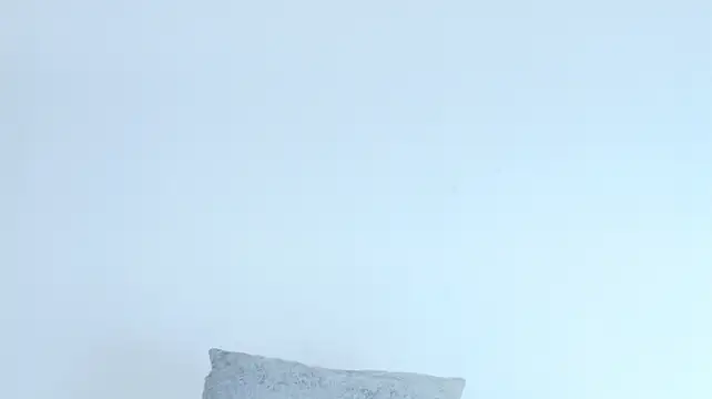 Alexialeman