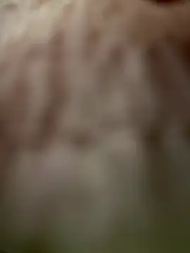 Blonde_exe