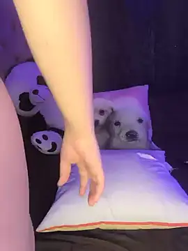 Butterfly777_ - Spank ass x 7 times 💥