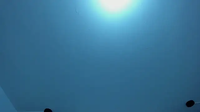 Mavis_adams_ - 🍑Plug in my ass 🍑