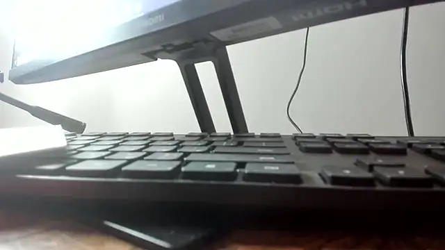 LoraMooon - Twerk