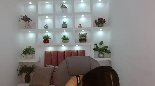 Salome_veles