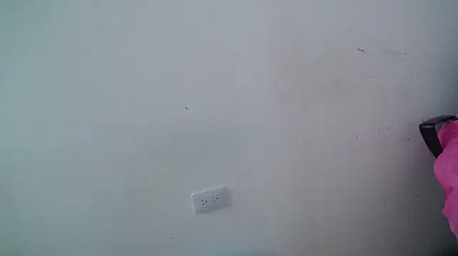 Valentina_rose5