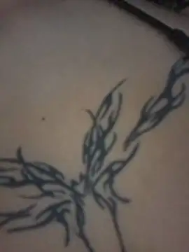 Aurora_em - OIL IN MY TITS ✨