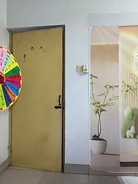 Ruyier - 转盘游戏 Spin-the-wheel game