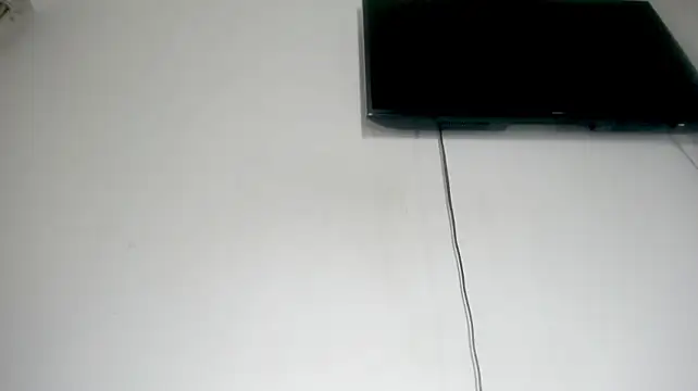 Fox_Loves