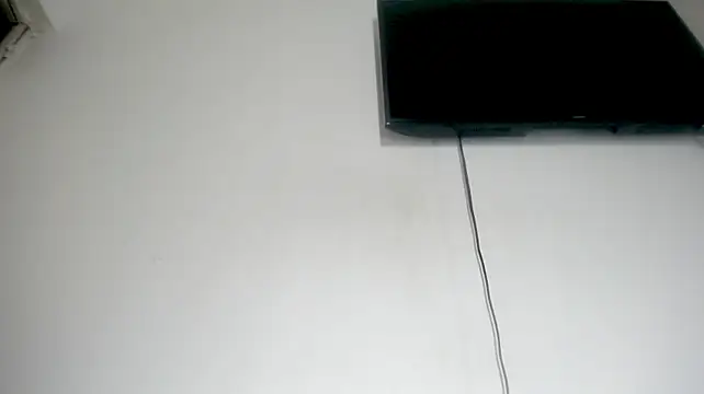Fox_Loves
