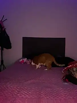 Kamm277 - naked oiled+twerk+pussy