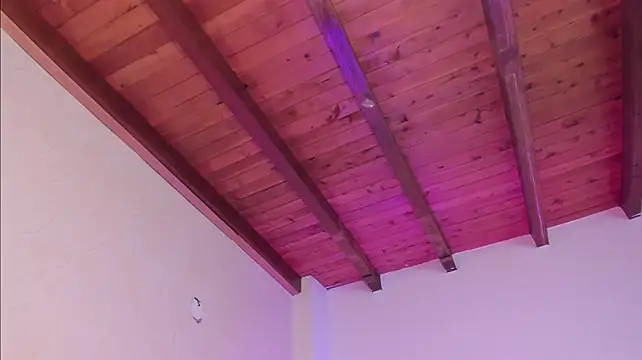 Rikystar_and_luna