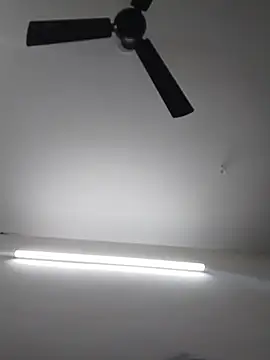 Tamilrojaodi