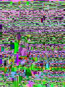 P_A_U_L_I_N_A_ - I'LL FUCK MY PUSSY GENTLY