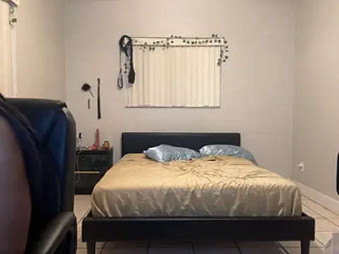Gator_Zoe - 3 minute blowjob