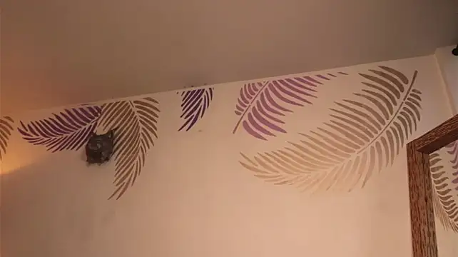 Justnala_ - Fuck my big tits