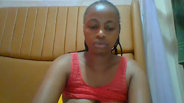 Missallan