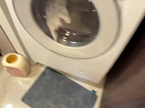 KoalaClub