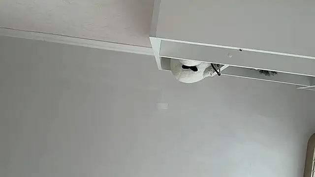 Kaderii1 - 5 Sexy squats in panties