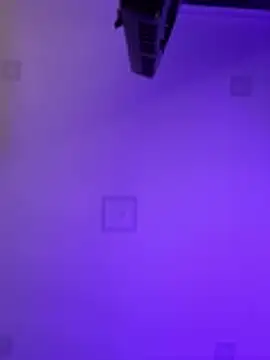 Daisy_Fisting