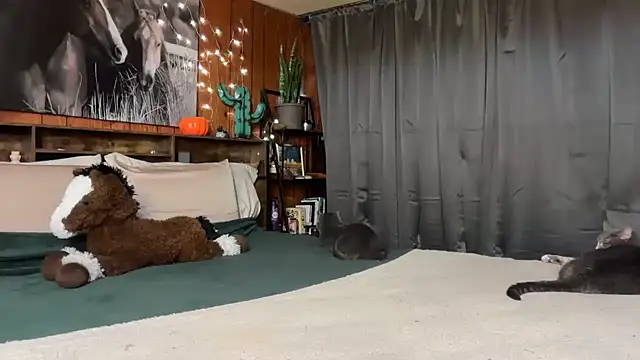 Ella2sweet - boob tease