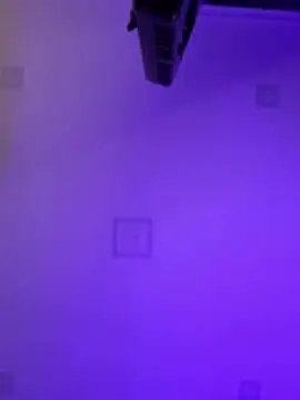 Daisy_Fisting