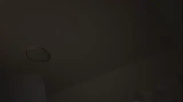 Da-mimi666
