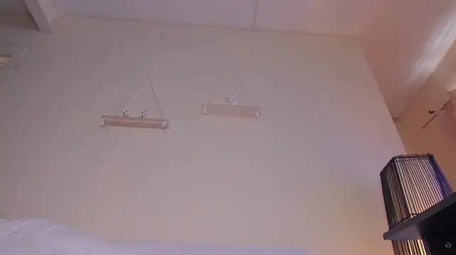 Secret_chells