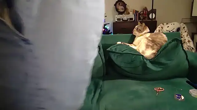 TreatLucky - take off shorts
