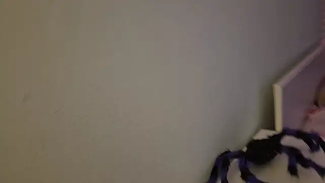 Cake_hard - sexy take off my white shirt