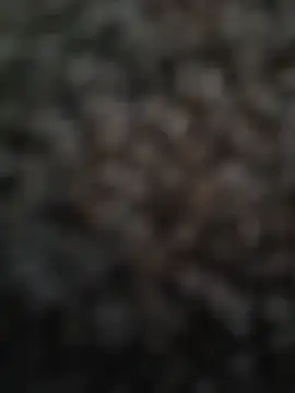 SeductiveSelenaHeart - New sexy stuff
