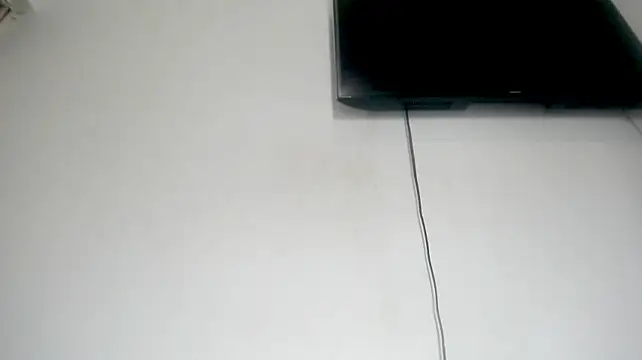 Fox_Loves