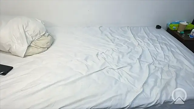Losespososfogosos - Pussy and dick blowjob