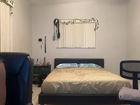 Gator_Zoe - 3 minute blowjob