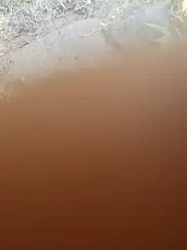 YOURBHABI143 - Stranger only today