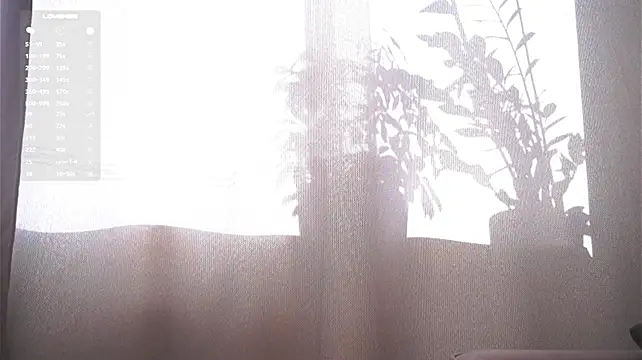 LinnHigh - I continue to play with my kitty