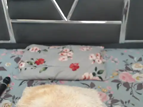 Roseendoo1 - help me reach my goal