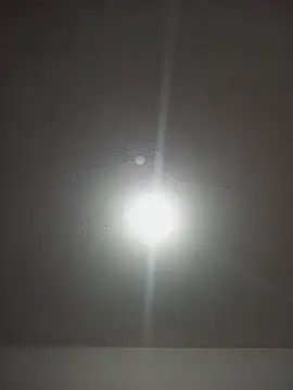Ambarlennoix - Su coño 💦🥰