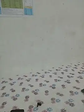 Shivani_hot1