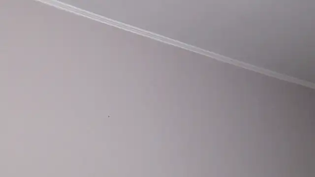 IzabelllNoir