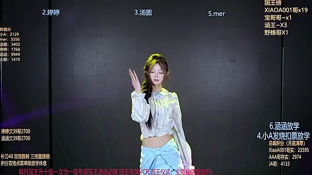 SK010 - 大盘鸡碎片x1