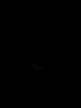 One_nikita